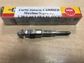   Carrier CT 2.29/3.44/3.69/4.91 Maxima/Supra (NGK)