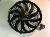   12V